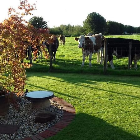 Courtyard Cottage Lockerbie Zewnętrze zdjęcie