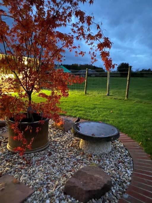 Courtyard Cottage Lockerbie Zewnętrze zdjęcie