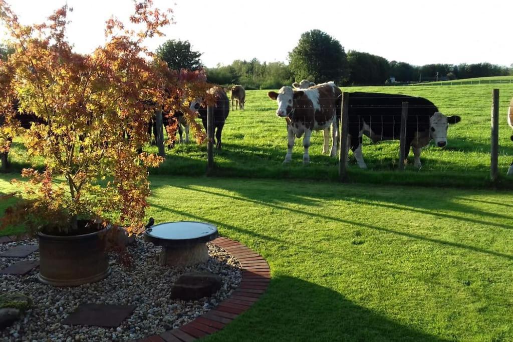 Courtyard Cottage Lockerbie Zewnętrze zdjęcie